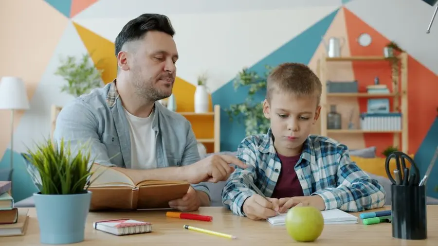 Homework Assistance