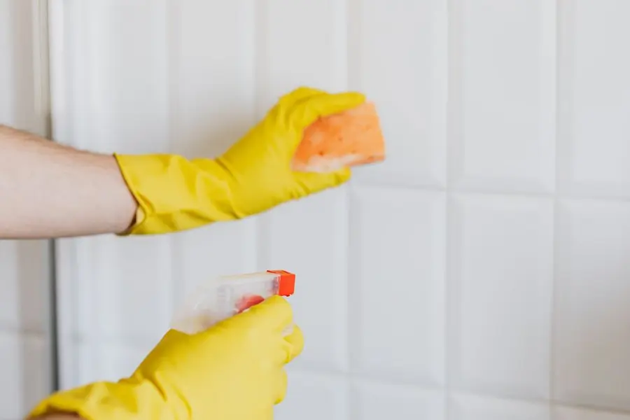 2 BHK Cleaning