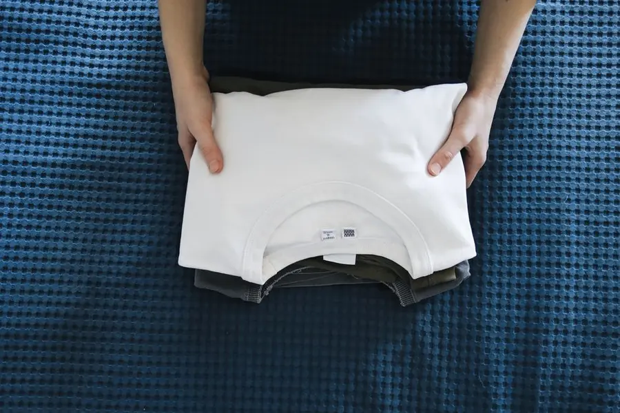 Steam Ironing