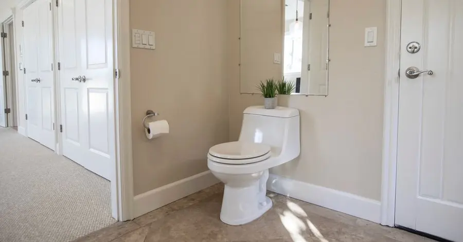 Flush Replacement