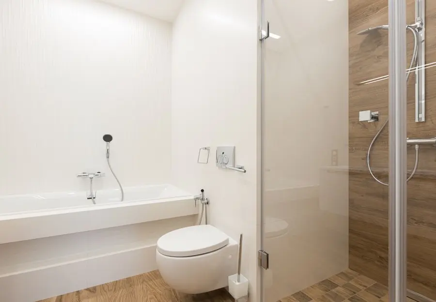 Toilet Seat Replacement